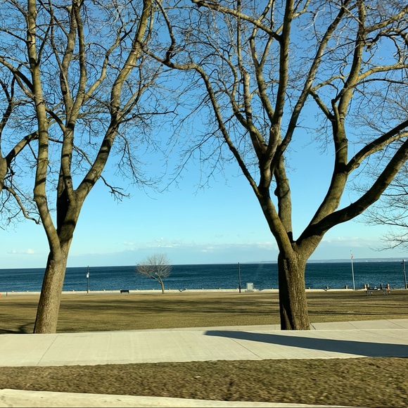 Meet your Posher, Suzanne - Picture 1 of 1